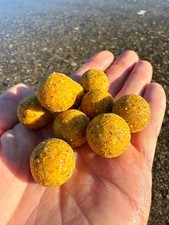 Premium Scopex 5kg Boilies