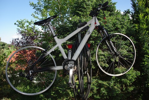Storck jugend und - 24",