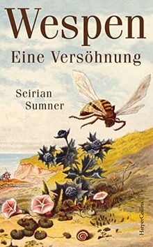 Wespen eine versöhnung - wespen.,