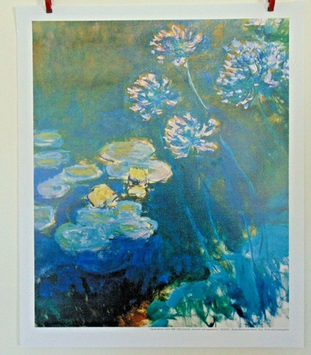 Water lilies monet - monet, art