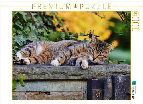 Calvendo puzzle ruhende katze - puzzle,