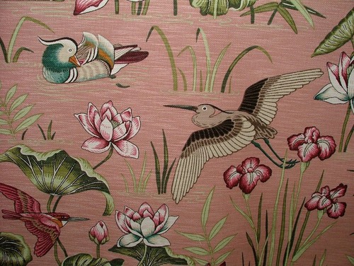 Iliv japanische seerose mit - japanische,