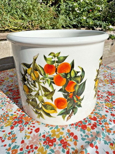Portmerion orangen zitronen - orangen,