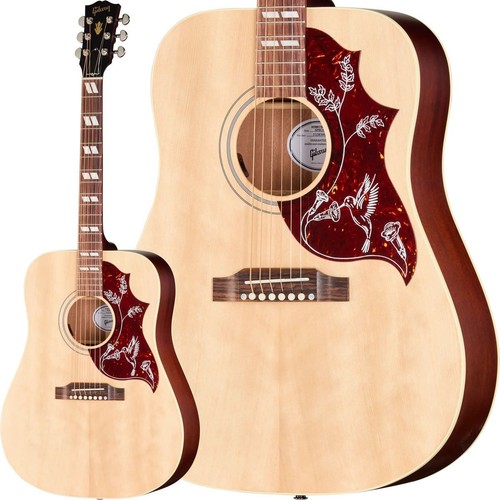Gibson hummingbird special - gibson,