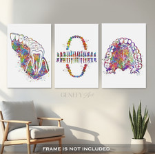 Zähne Dental Kunstdrucke 3er