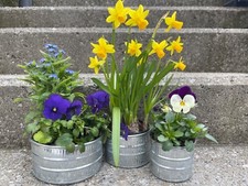 3er Set kleine Pflanzschalen