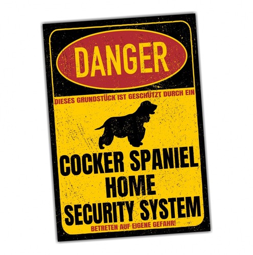 Cocker spaniel dog - cocker,