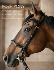 Anatomisches Gebiss &