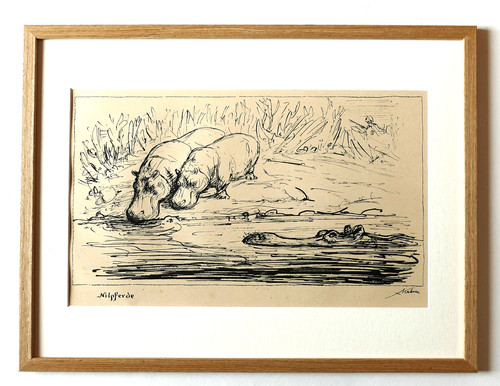 Alfred kubin nilpferde - kubin,