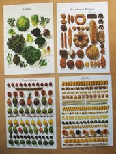 4 Ikea Brot, Pasta, Salat, tropische Früchte , Karten Postkarten 1997