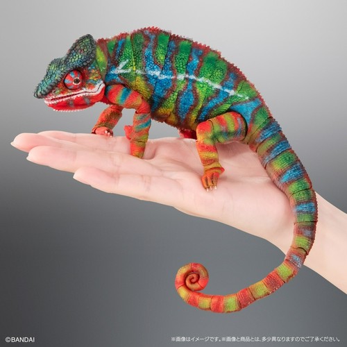 Bandai diversity life on - bandai,