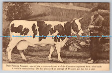 R762816 Segis Pietertje