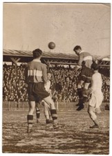Fotografie alois sedlar - fotografie,