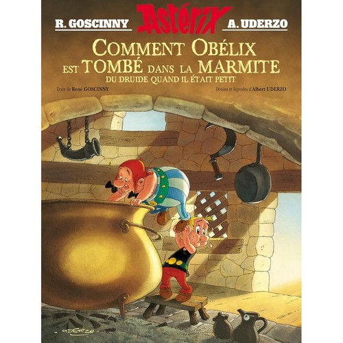 Bilderalbum asterix wie - bilderalbum,
