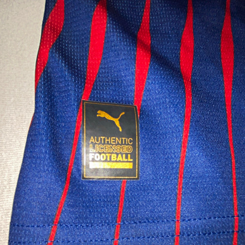 Puma leipzig trikot drycell - puma,