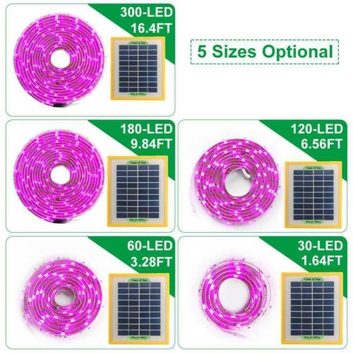 Solarenergie grow light strip - light,