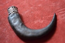 Charivari Anhänger Gamsbock Hornspitze mit 925 Silberfassung