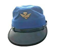 Schweden blaue Schirmmütze