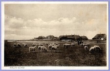 Nordfriesisches Wattenmeer Hallig Oland Vlg. Kaufhaus Peter Beck Wyk auf Föhr AK