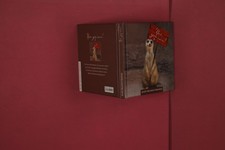 352396 Anna Niemann YES, YOU