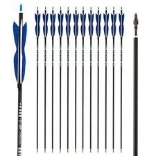 Stück zoll carbonpfeile - 12,