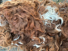 SURI LAMA Vlies Strähnen