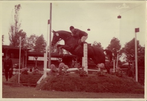 Foto springreiten sprung - springreiten,,