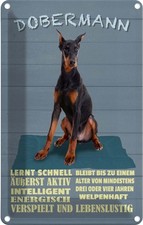 Blechschild 30x20 cm Dobermann lernt schnell Hund Tier Haustier Deko Geschenk Me