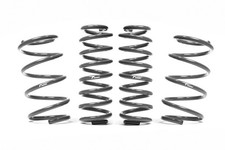 Racingline Lowering Spring Kit