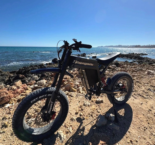 Electric dirt bike 1500w - electric,