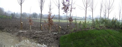 Foto 6x4 dunrevan castlederg - foto,