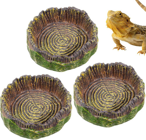 Stück bartagame wassernapf - stück,