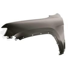 PRASCO Kotflügel vorne links