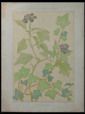 EFEU, BLUMEN, JUGENDSTIL -