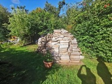 Brennholz Der Baum 🌳 heißt