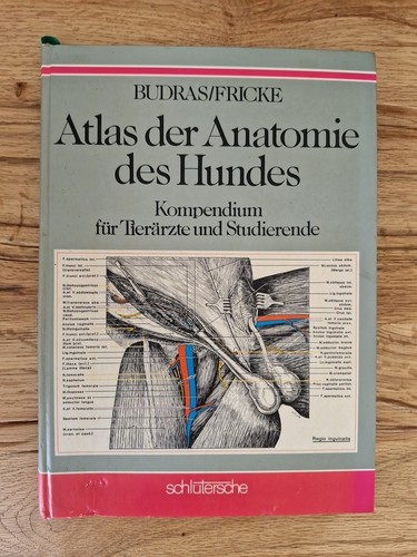 Atlas der anatomie des hundes - atlas,