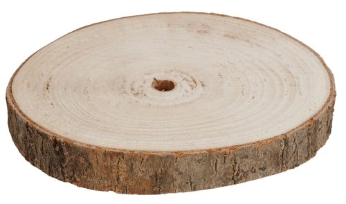 Baumstammscheibe 20cm zum