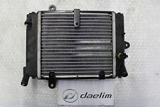 Daelim S3 125 FI Kühler Wasserkühler Watercooler Radiator #R7770