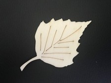 #9 Birke Blatt aus Holz 8 x 5 cm  Deko Bastel Herbst Bastelmaterial Bastelholz