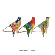 Singender Paradiesvogel aus