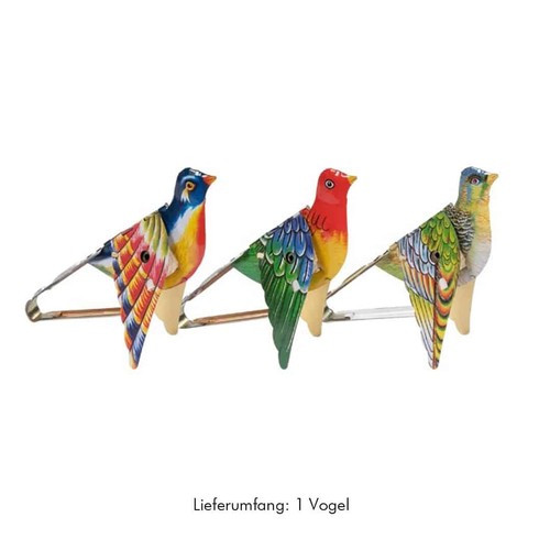Singender paradiesvogel aus - paradiesvogel,