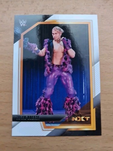 Wwe card 117 tyler - card,