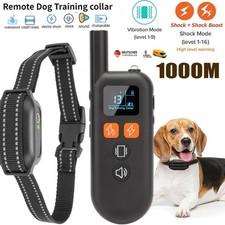 Elektroschock Pet Dog Training