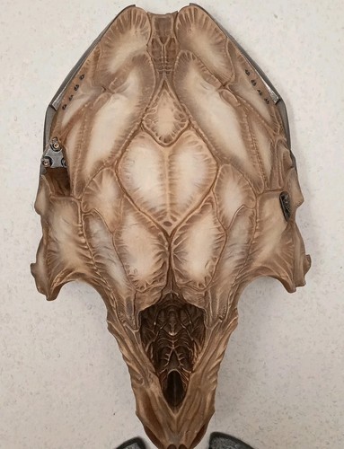 Predator prey feral maske - prey, 1:1