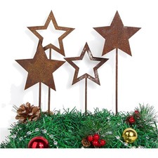 Rost Stern Gartenstecker