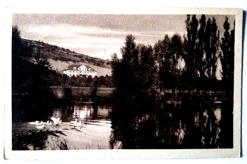 Bad mergentheim haus - -,