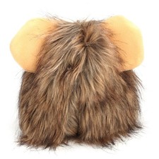 Kreative Süße Haustier Katze Hund Löwe Perücke Hut Kostüm Lustige Dress Up