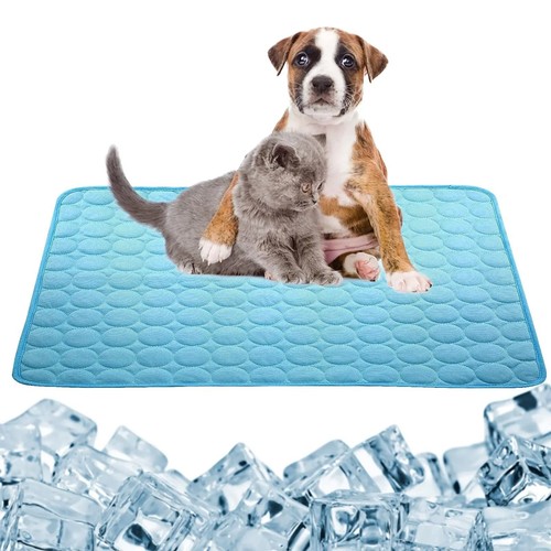 Hunde kühlmatte xxl - hunde, kühlpad