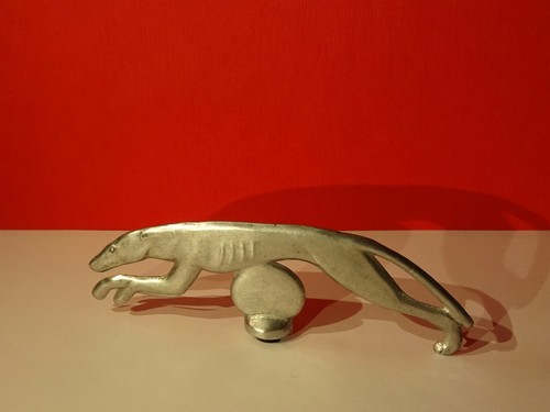 Original alte windhund - alte,