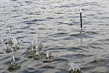 Carpspot Spotmarker Stabboje Stangenboje Spot Marker -besser als H Boje H Marker